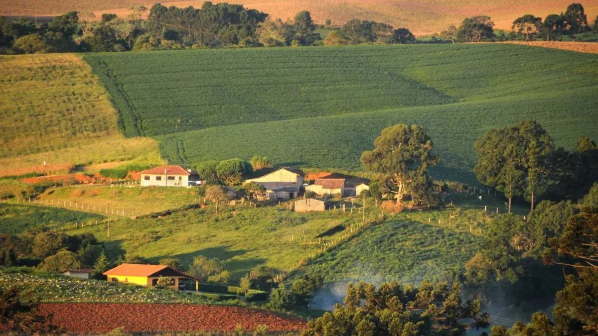 propriedade rural