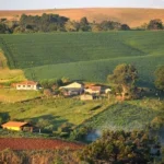 propriedade rural
