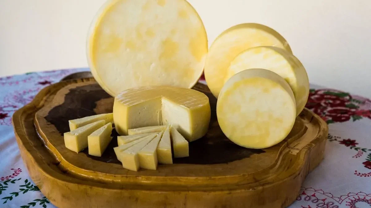 queijaria queijo