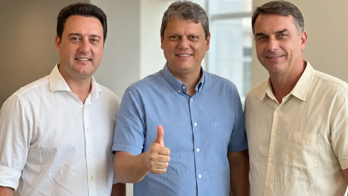 ratinho tarcisio flavio